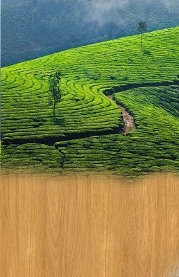 destination-img