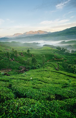 destination-img